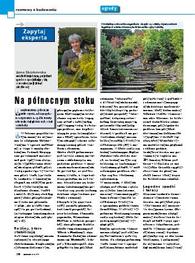 Na północnym stoku - Zapytaj eksperta